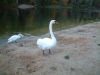 DSCF0054.JPG