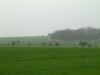 DSCF0054~5.JPG