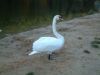 DSCF0071.JPG