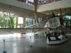 DSCF0087~1.JPG