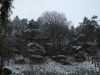 DSCF0089~6.JPG