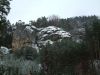 DSCF0092~3.JPG
