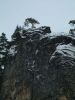 DSCF0093~3.JPG