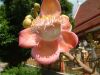 DSCF010~0.JPG