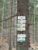 DSCF0120~4.JPG