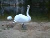 DSCF0143.JPG